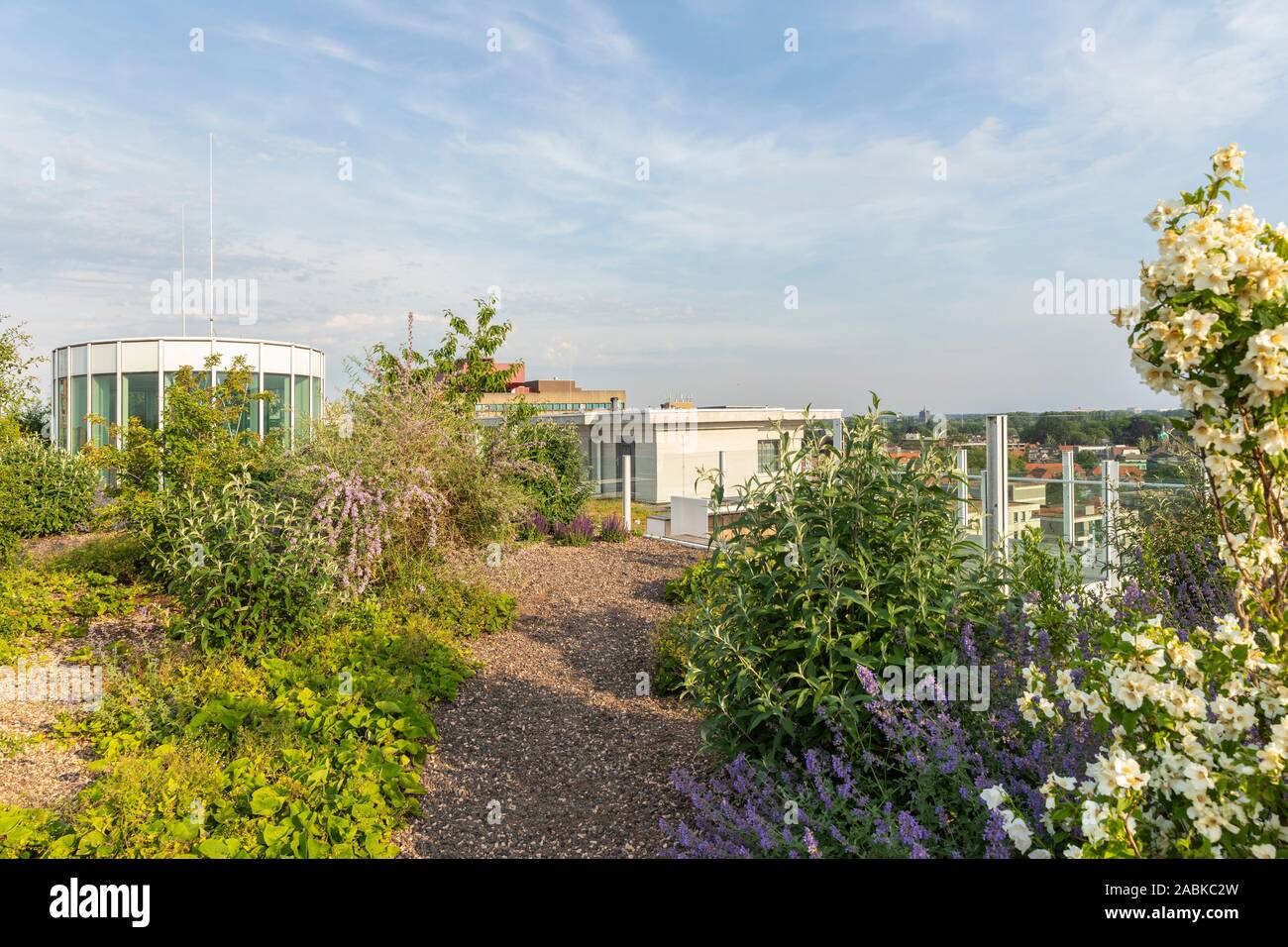 Eindhoven, The Netherlands, June 4th 2019. View of the luxurious rooftop  garden of the old Philips factories at Strijp S with lots of flowers and  plan Stock Photo - Alamy