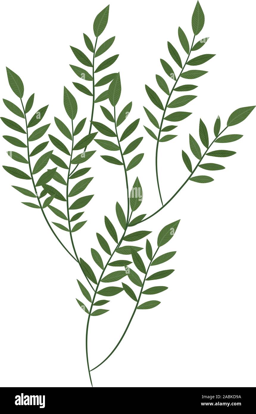 Isolated leaves icon vector design Stock Vector Image & Art - Alamy