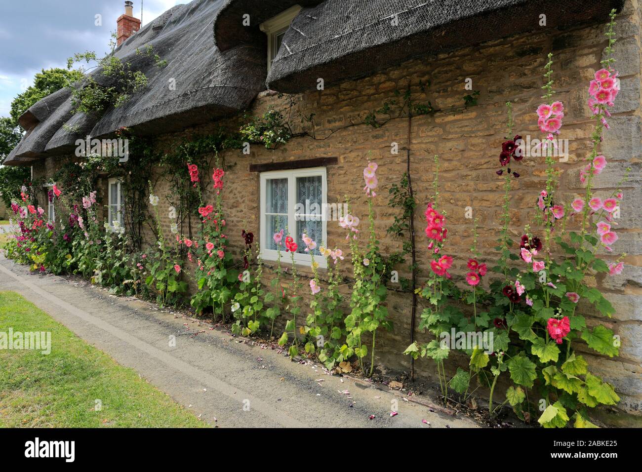 Hollyhocks cottage, Helpston village, Cambridgeshire, England; UK Stock Photo
