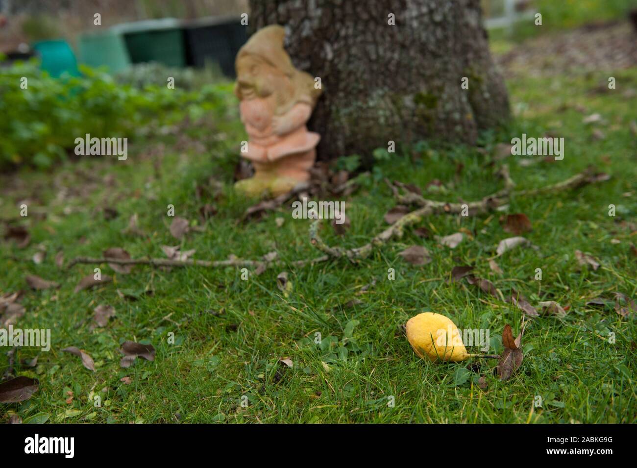 A garden gnome in the allotment garden at Luitpoldpark in Munich. [automated translation] Stock Photo
