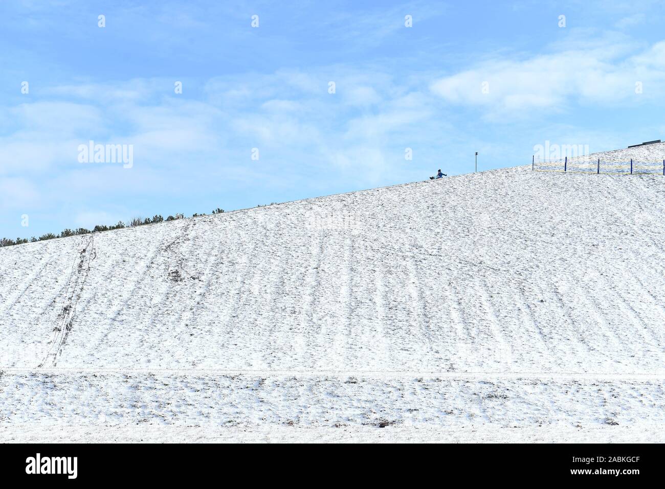 Snowcovered English Garden in Munich. [automated translation] Stock