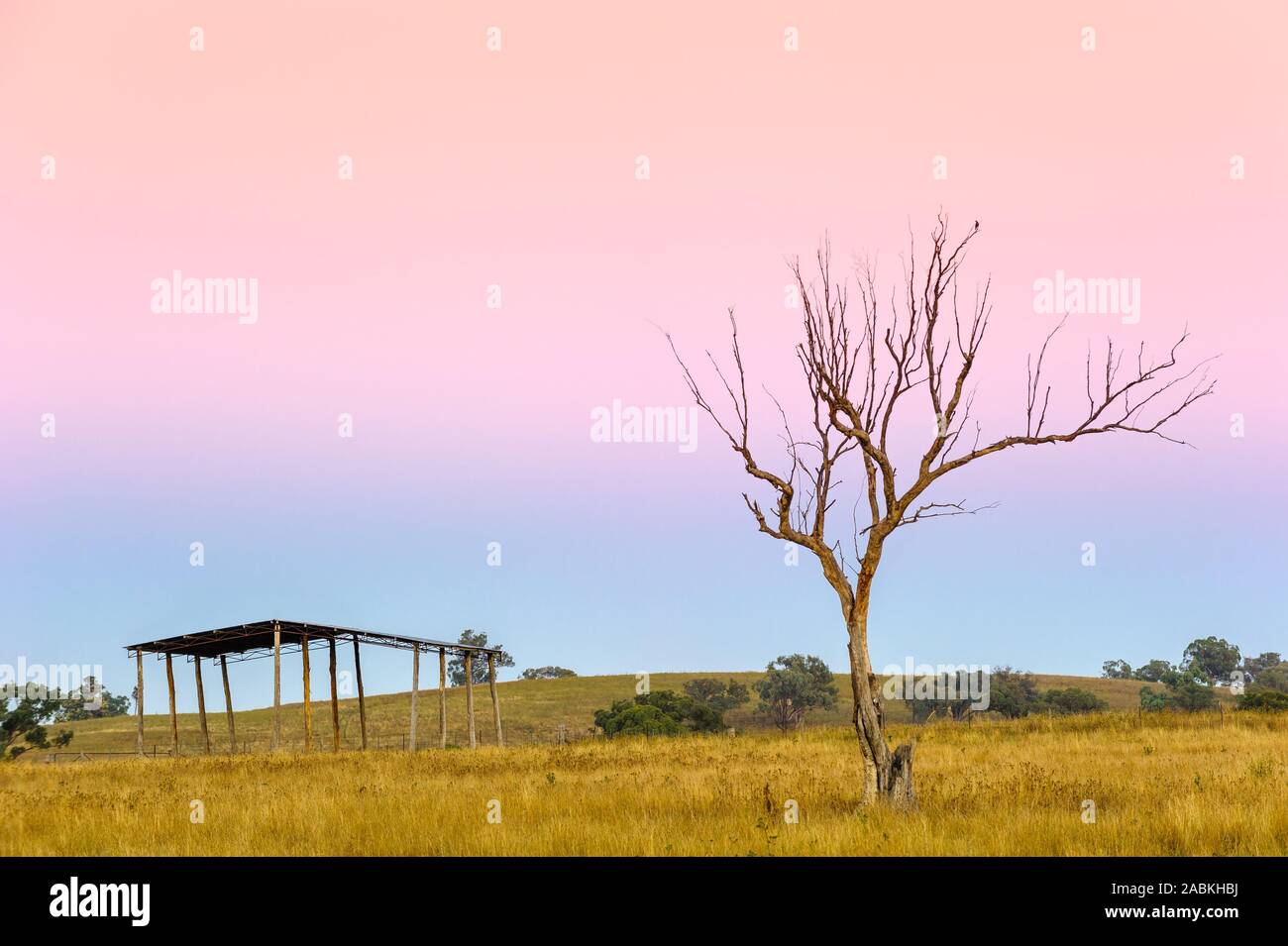 Empty hay shed with dead tree on grassy hillside at sunset Stock Photo