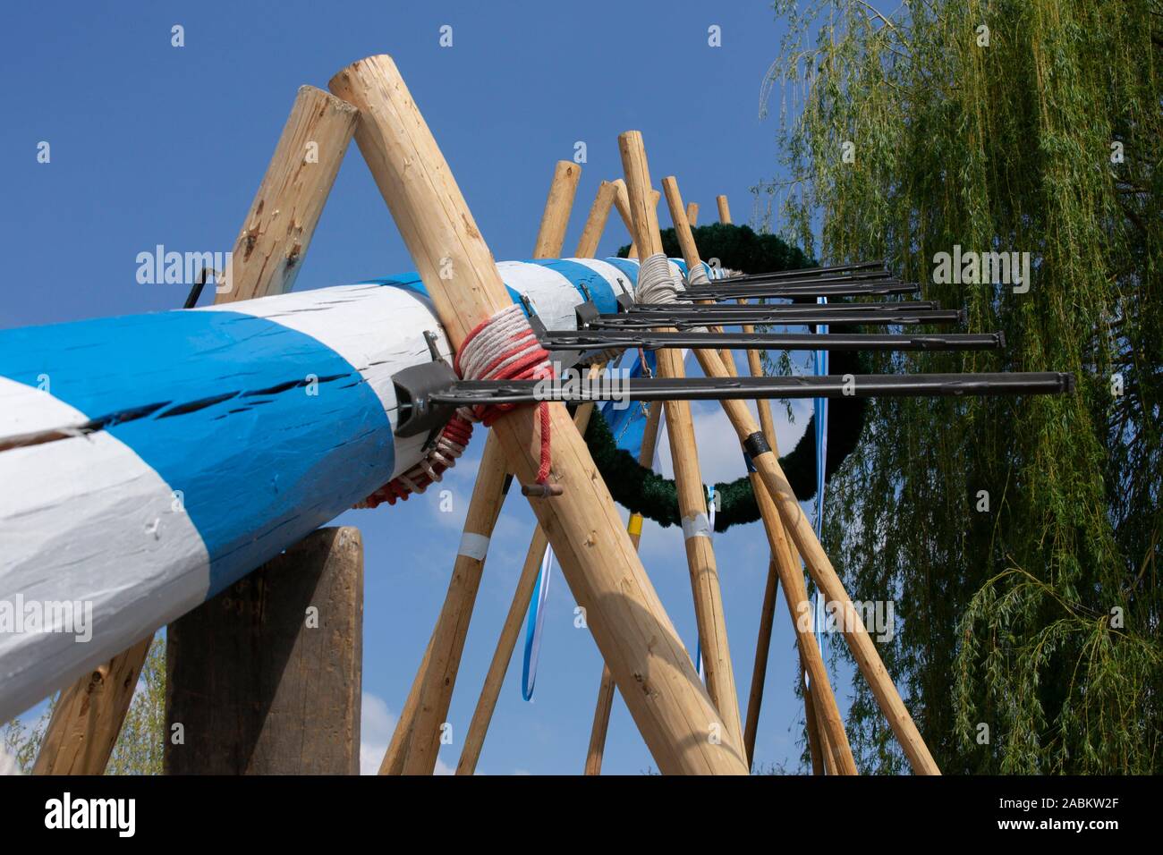 The Olchinger Maypole is traditionally erected by hand. [automated ...