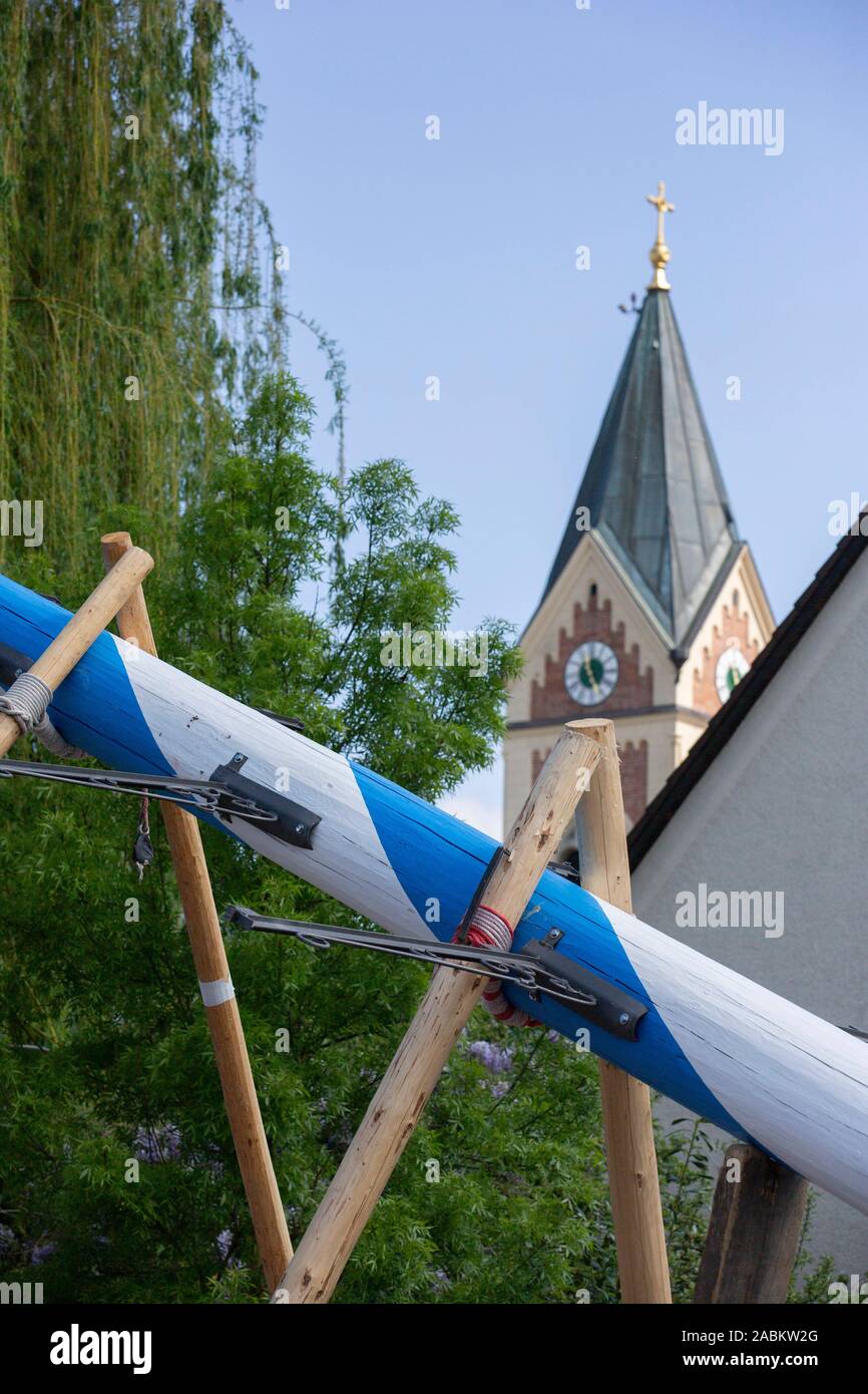 The Olchinger Maypole is traditionally erected by hand. [automated ...