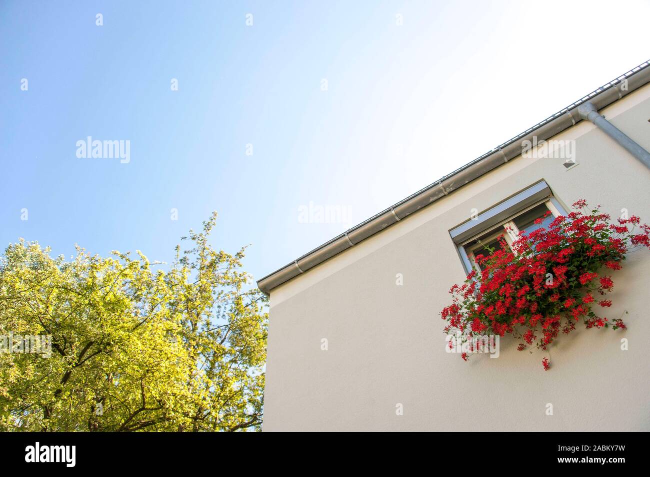Impression from the settlement Ludwigsfeld in the area of Kristallstraße, Granatstraße, Diamantstraße, Onyxplatz, Opalstraße and Rubinstraße in the north of Munich. In the picture flower decoration in front of a window. [automated translation] Stock Photo
