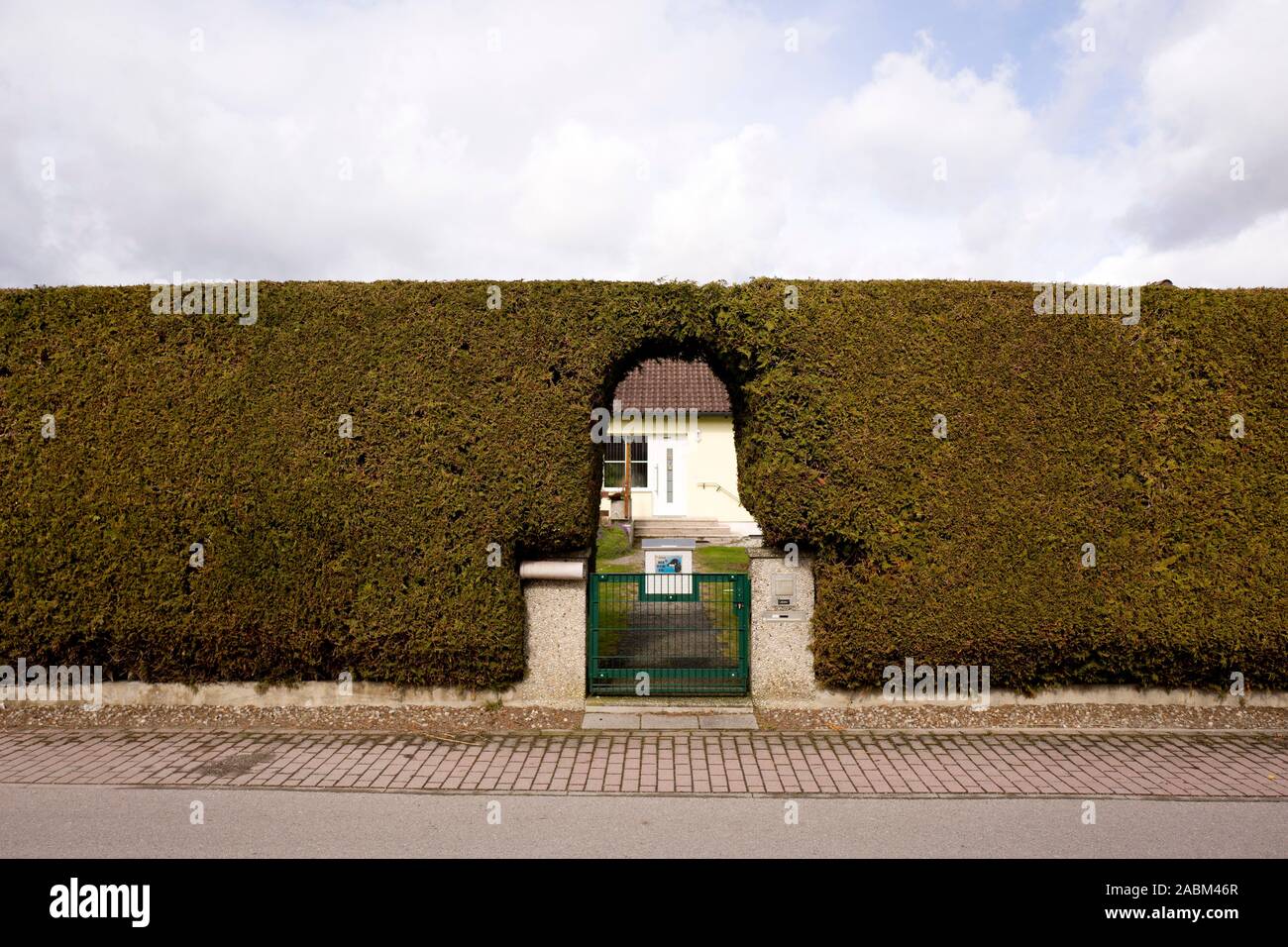 Thujen hedge as opaque garden boundary at a detached house in Biburg. [automated translation] Stock Photo