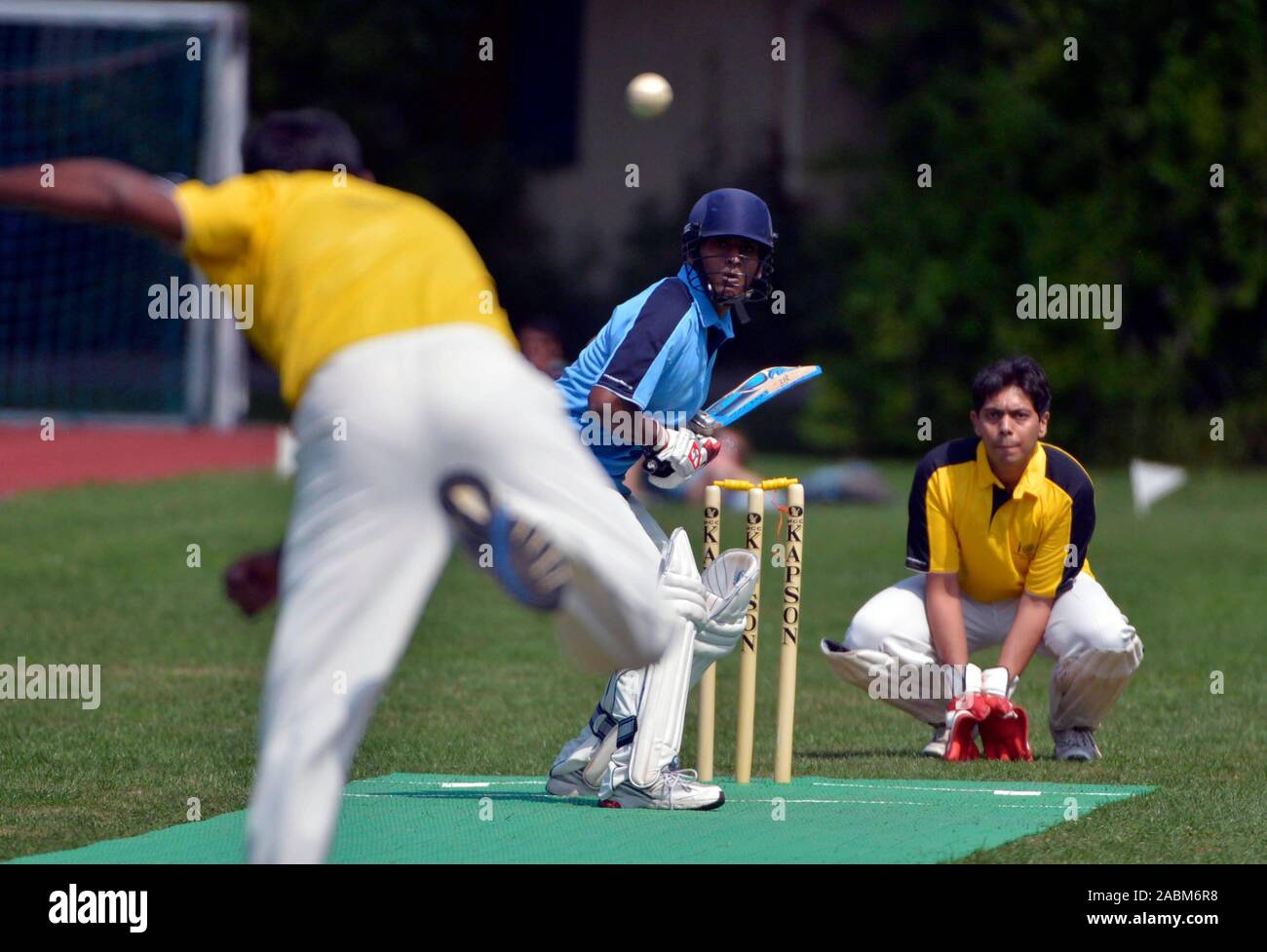 Cricket player in the English Garden at the Independence Day Cup of the Indien-Institut e.V. . [automated translation] Stock Photo