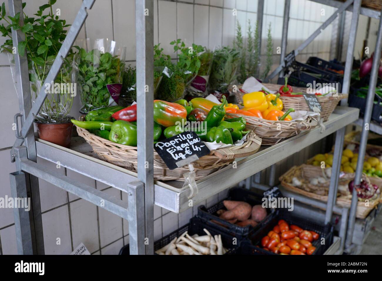 The traditional family-run vegetable growing business Schamberger in Munich-Moosach. [automated translation] Stock Photo