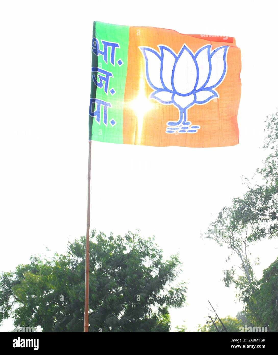 Flag Of BJP Bharatiya Janata Party Political Party Of India Stock Flag Of BJP Bharatiya Janata Party Political Party Of India Stock