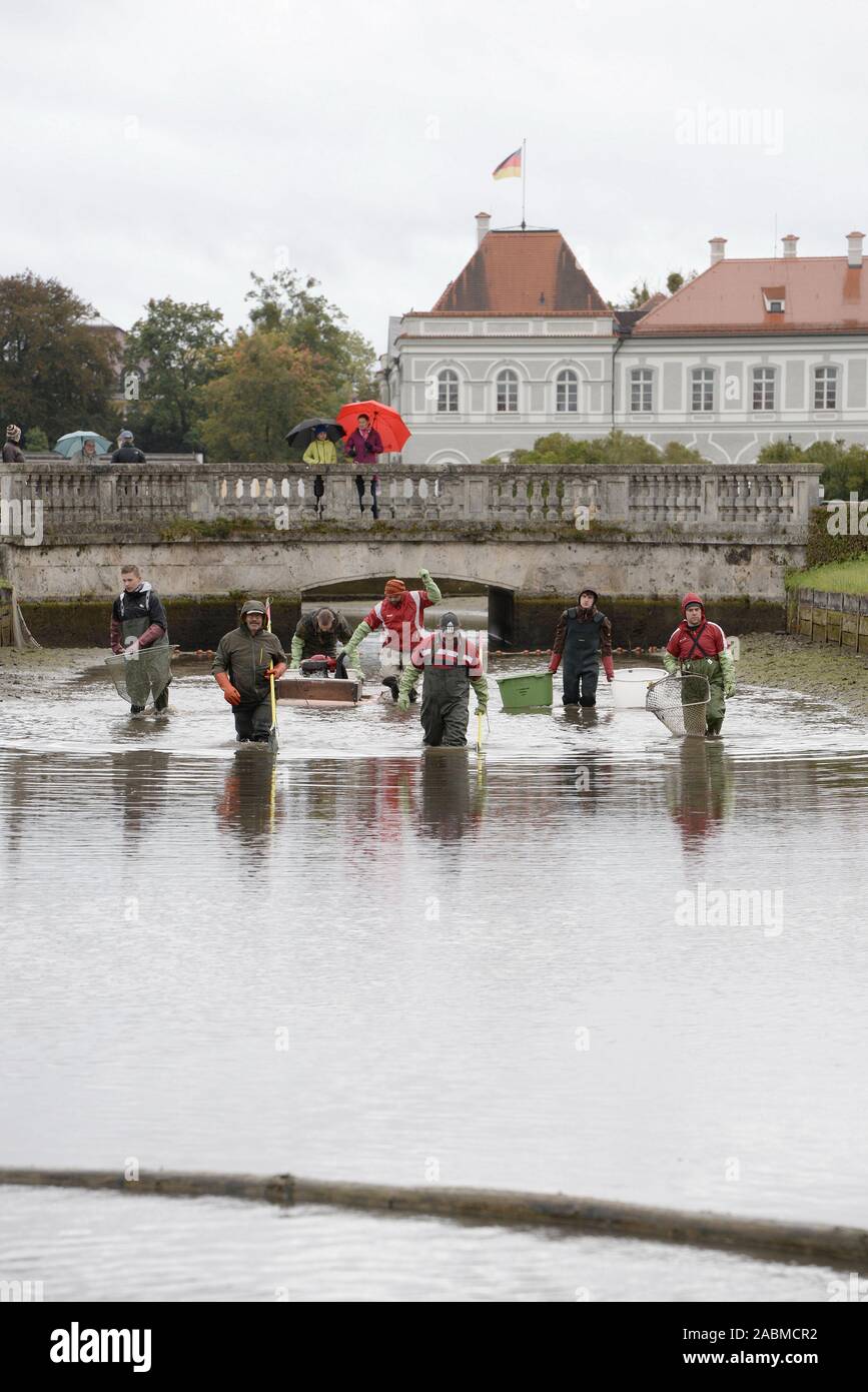 Fishing at the Nymphenburger Kanal in the Nymphenburg Castle Park. Every year in autumn a large part of the fish is fished from the canal and sold to the citizens of Munich. [automated translation] Stock Photo