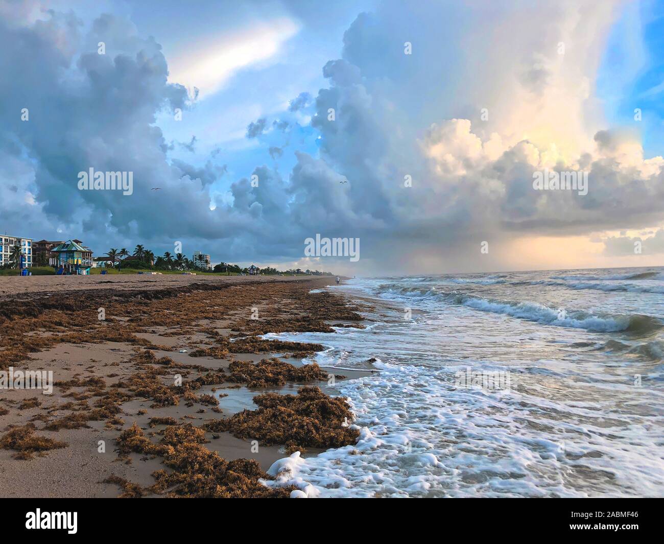 stormy sunrise on Florida beach during hurricane season Stock Photo Alamy