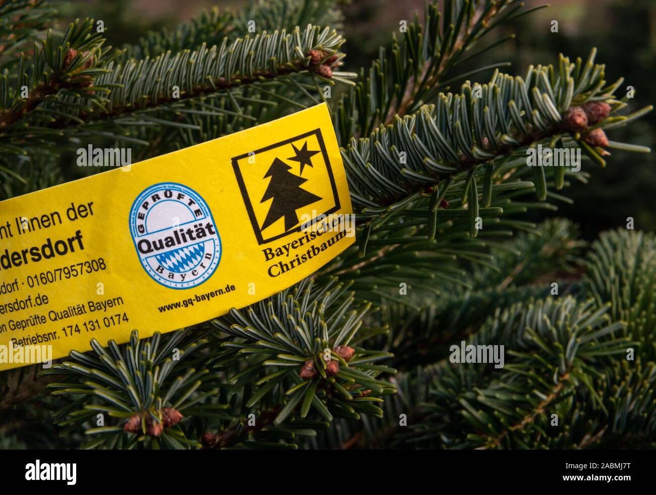 Markt Indersdorf, Germany. 28th Nov, 2019. A seal of quality with the inscription 'Geprüfte Qualität Bayern' hangs on a fir tree during the symbolic opening of the Christmas tree season. According to the ministry, about four million Christmas trees are sold in Bavaria every year. Credit: Peter Kneffel/dpa/Alamy Live News Stock Photo
