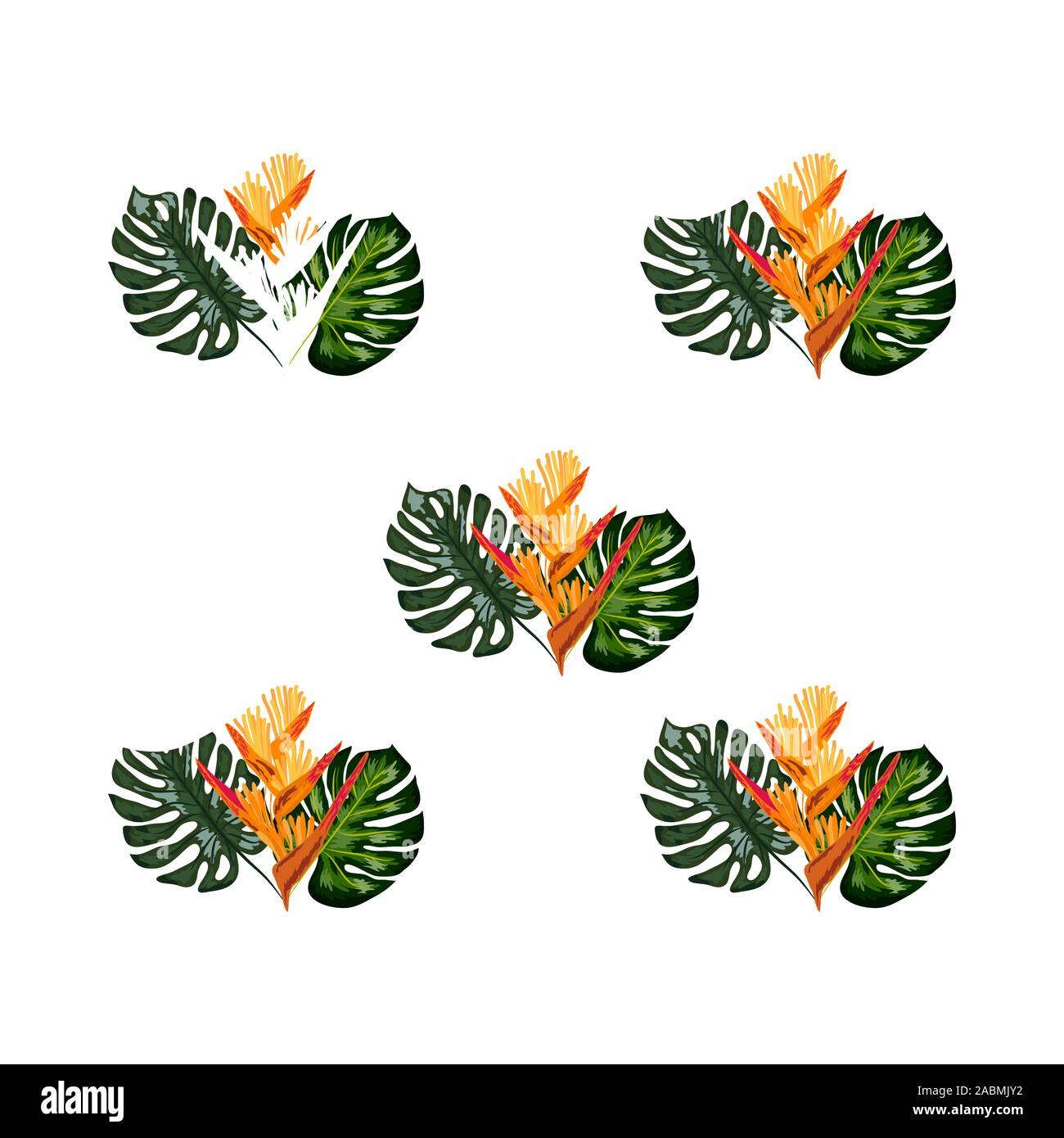 Summer jungle pattern with tropical flowers heliconia or lobster-claw ...