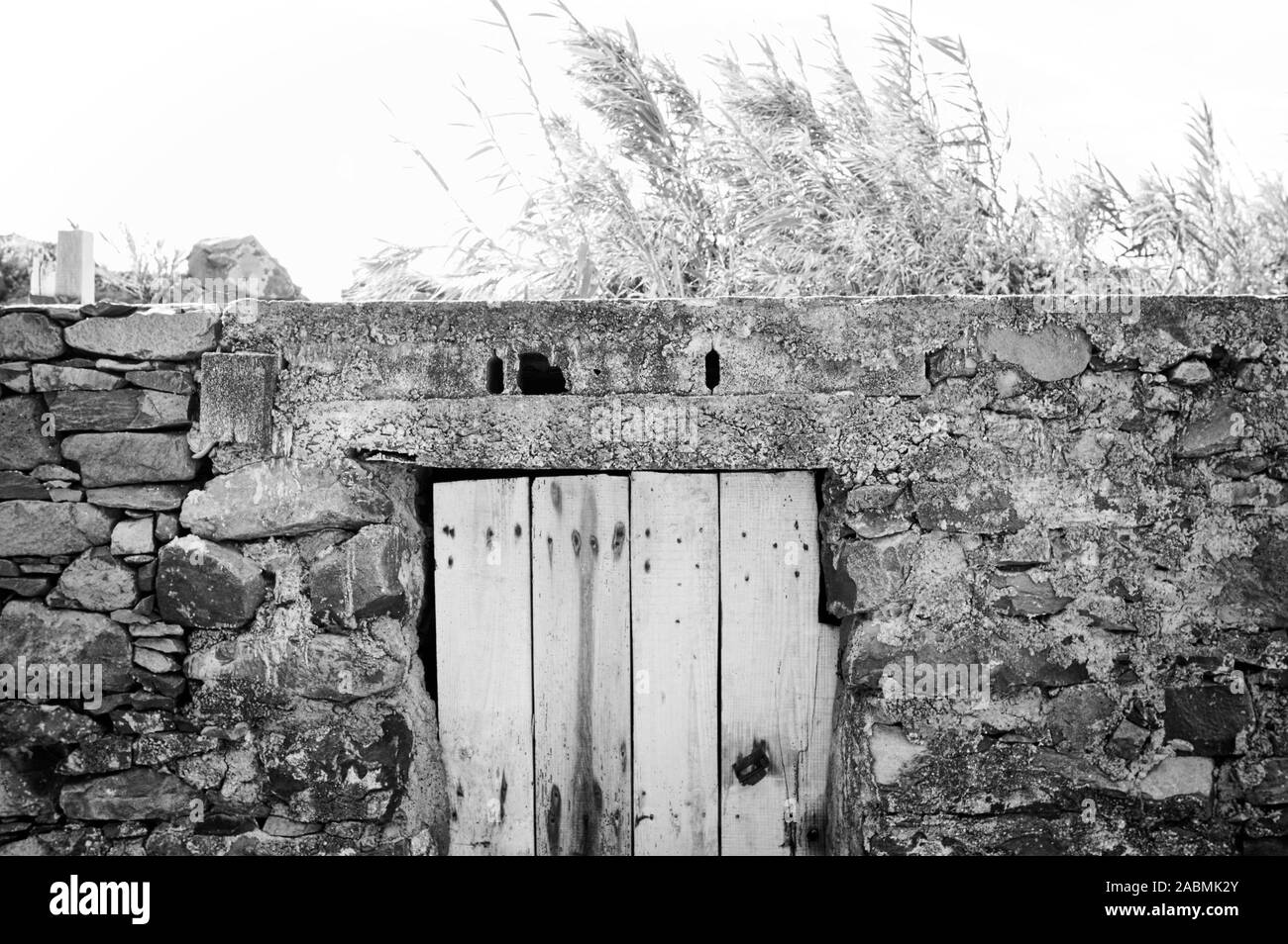 Isolated old wooden door in a stoned wall of a rural place (Madeira, Portugal, Europe) Stock Photo