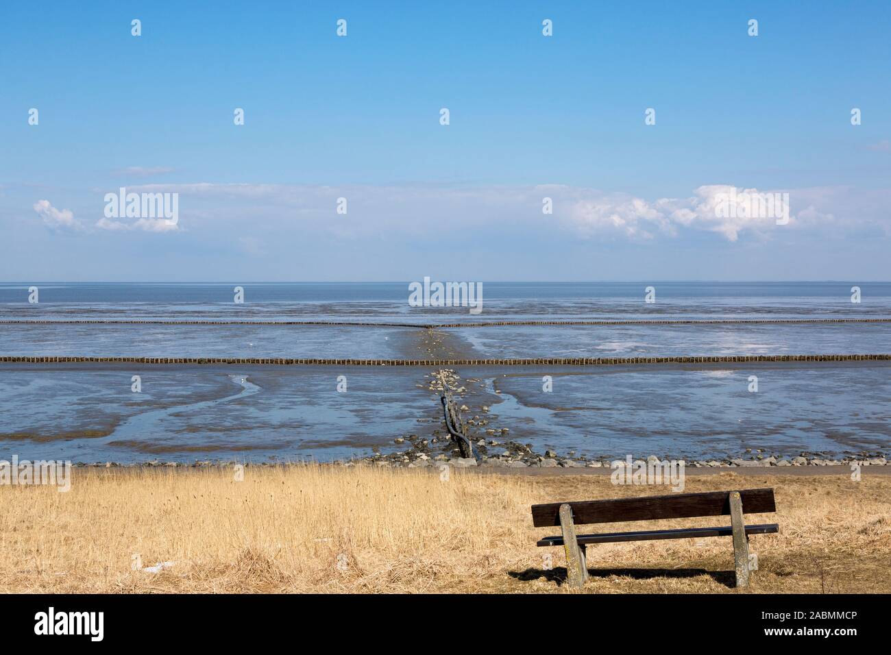 Bank Im Schilfguertel Mit Blick Ueber Das Watt Mit Buhnen Als Kuestenschutz Vor Keitum Auf Sylt Stock Photo Alamy