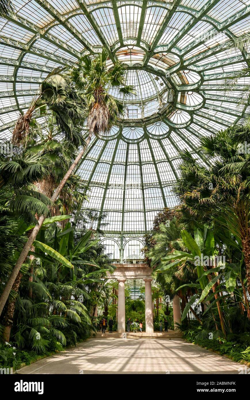 Belgium; Brussels: interior of the Royal Greenhouses of Laeken. Vegetation  and gardens in the metal and glass building designed by architect Alphonse  Stock Photo - Alamy