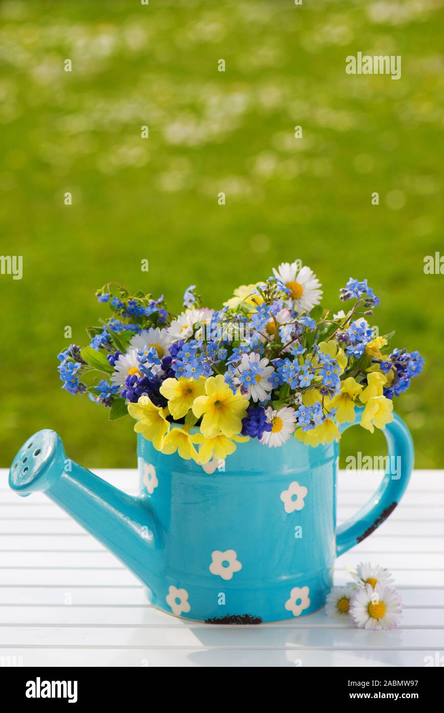 Giesskännchen mit verschiedenen Frühlingsblumen Stock Photo