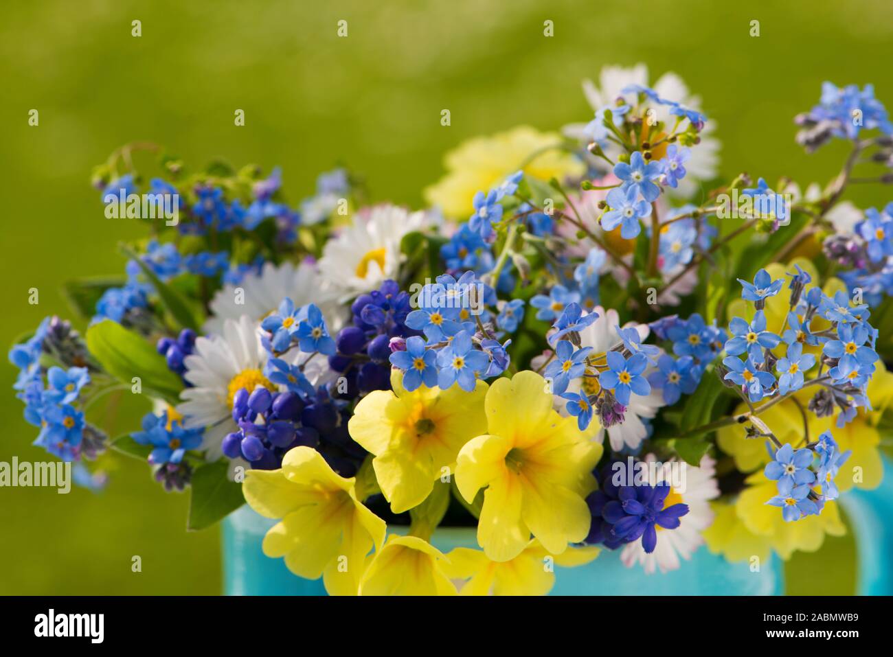 Giesskännchen mit verschiedenen Frühlingsblumen Stock Photo