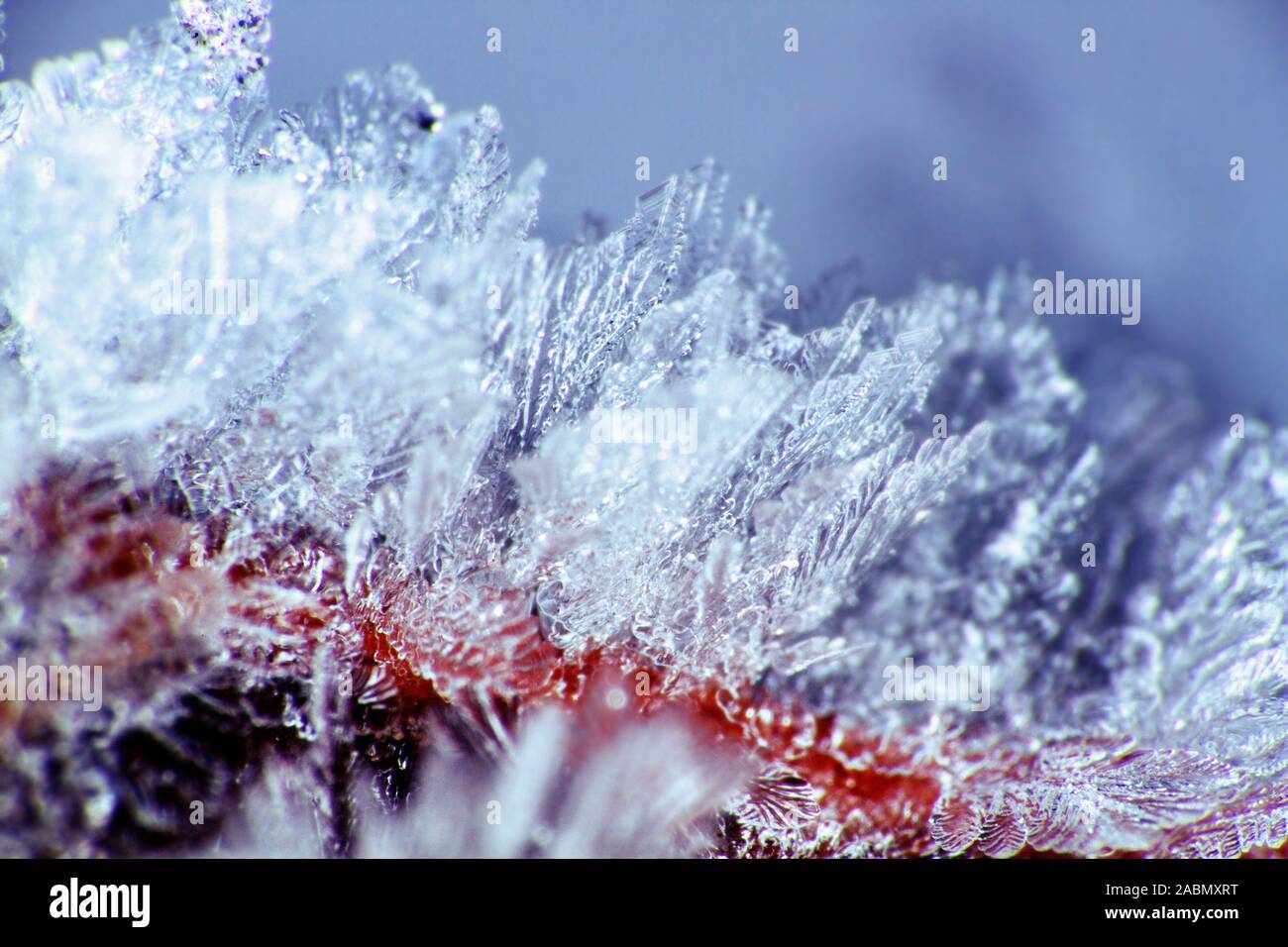 Hoarfrost on branches. Ice crystals are gorgeous like faceted diamonds, like solitaire Stock Photo