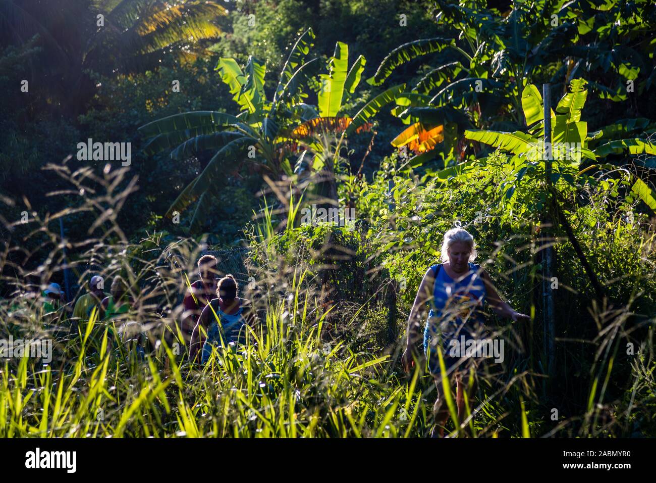 Hash House Harriers Running Event in Happy Hill, Grenada. Stock Photo