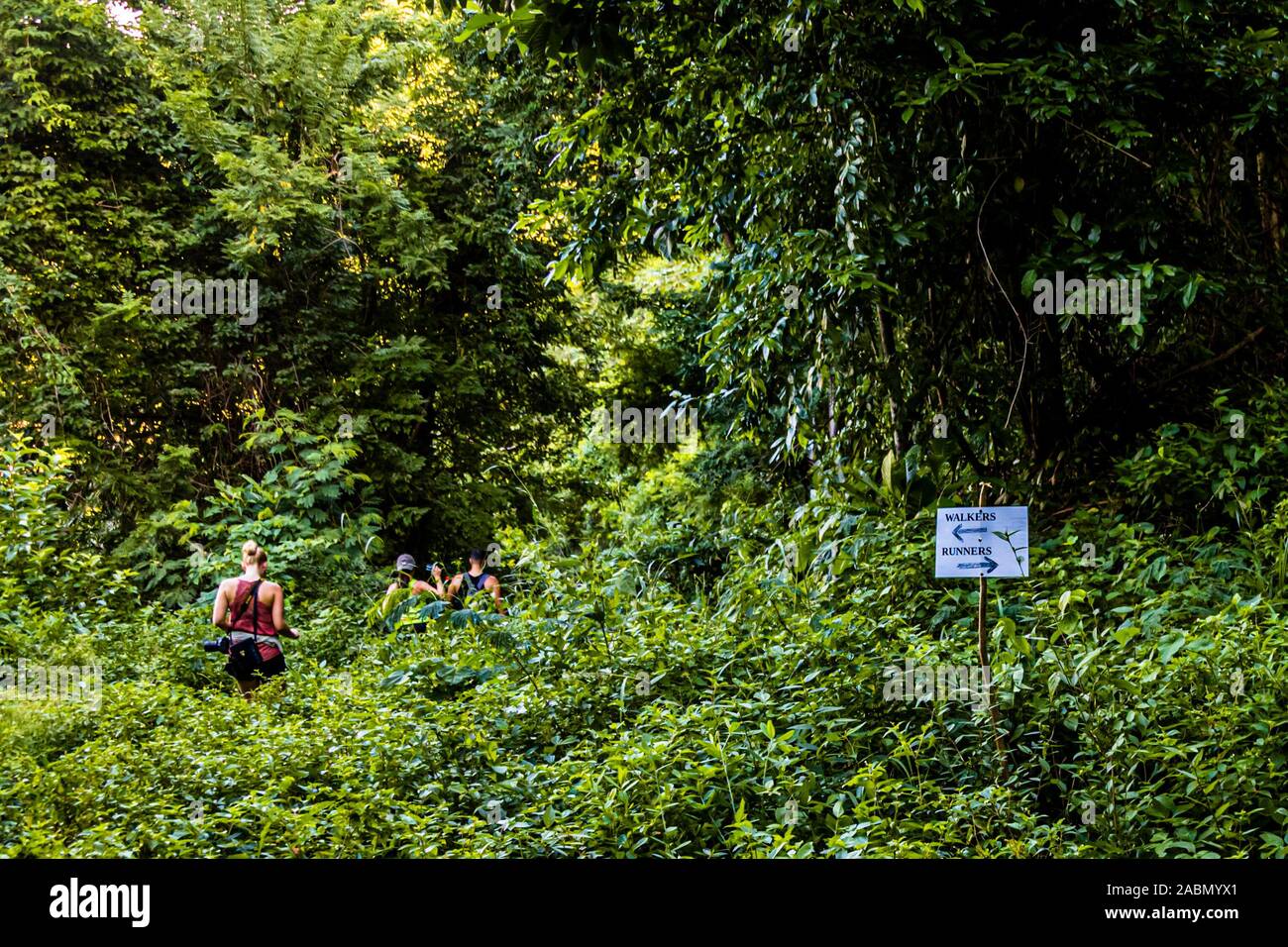 Hash House Harriers Running Event in Happy Hill, Grenada. Stock Photo