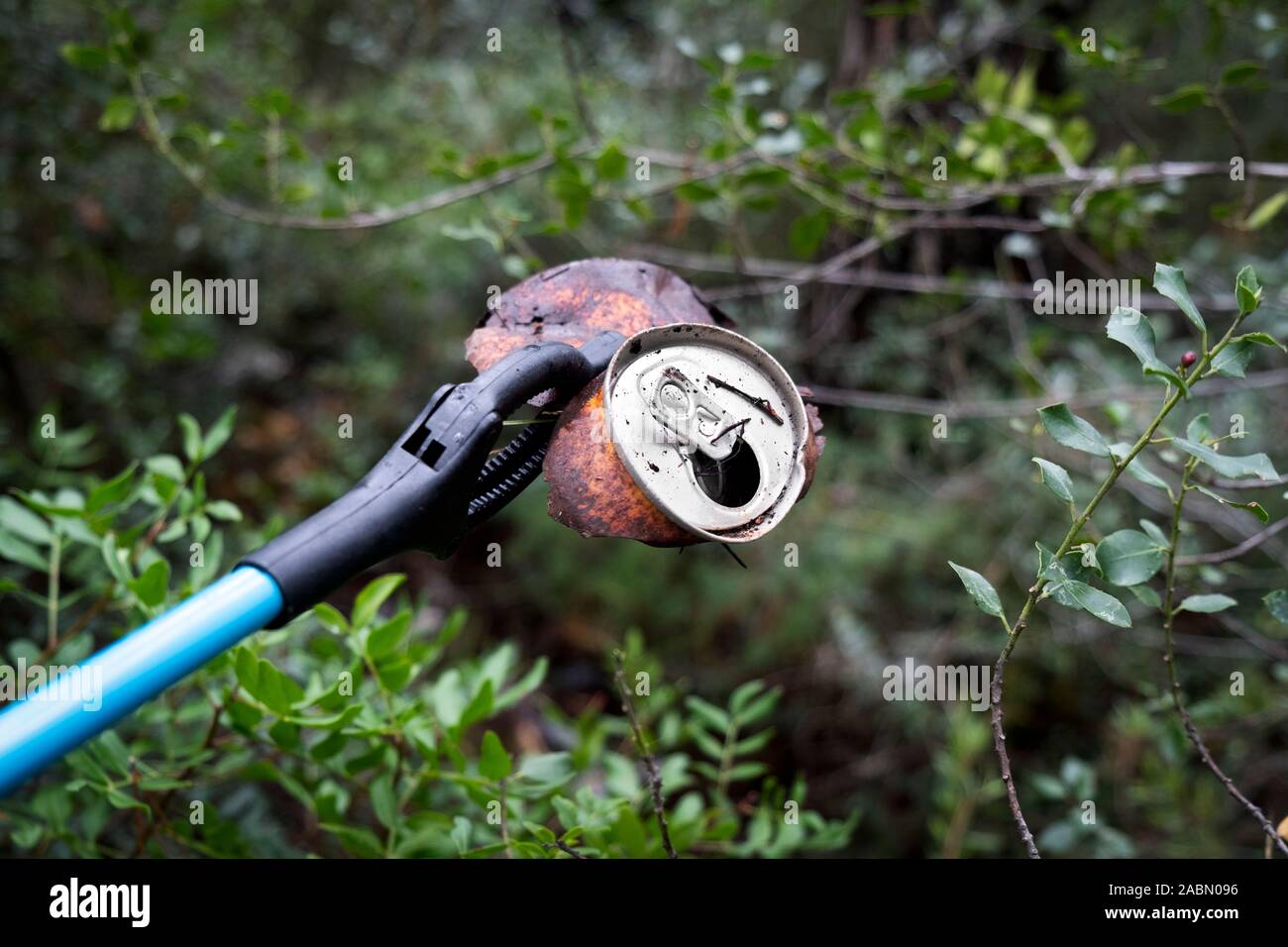 closeup of someone, in a forest, collecting a used drink can with a grabber arm, as an action to clean the natural environment Stock Photo