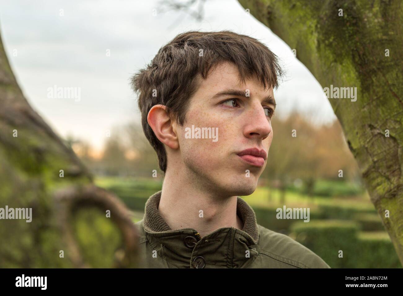 A young man standing among trees looks out with an air of sadness. Stock Photo
