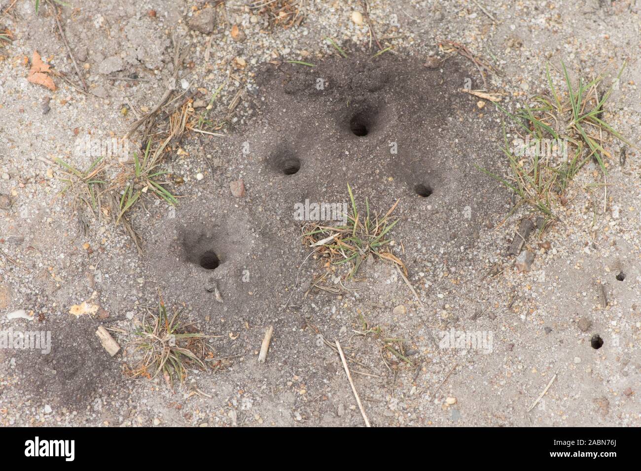 Holes In The Ground High Resolution Stock Photography and Images Alamy