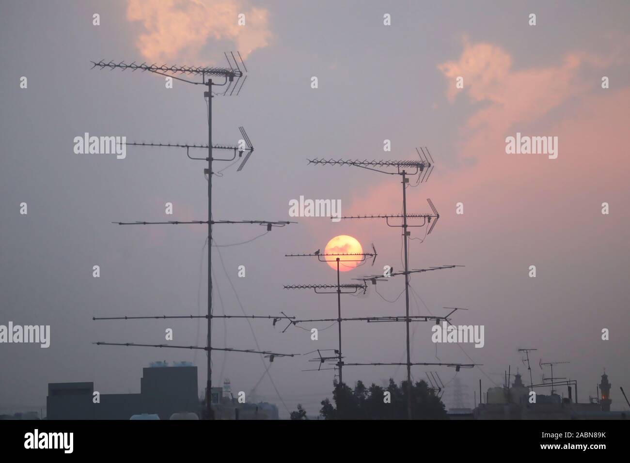 Television antenna silhouetted against a setting sun Stock Photo