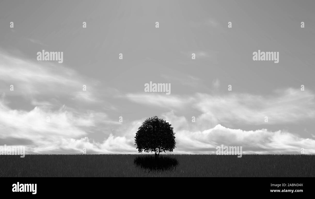 Lonely Tree at Sky Black and White Background 3D Rendering Stock Photo ...