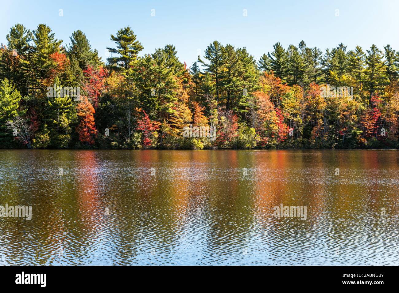 Colourfull trees along the shore of a lake on a clear autumn day. Reflection in water. Stock Photo