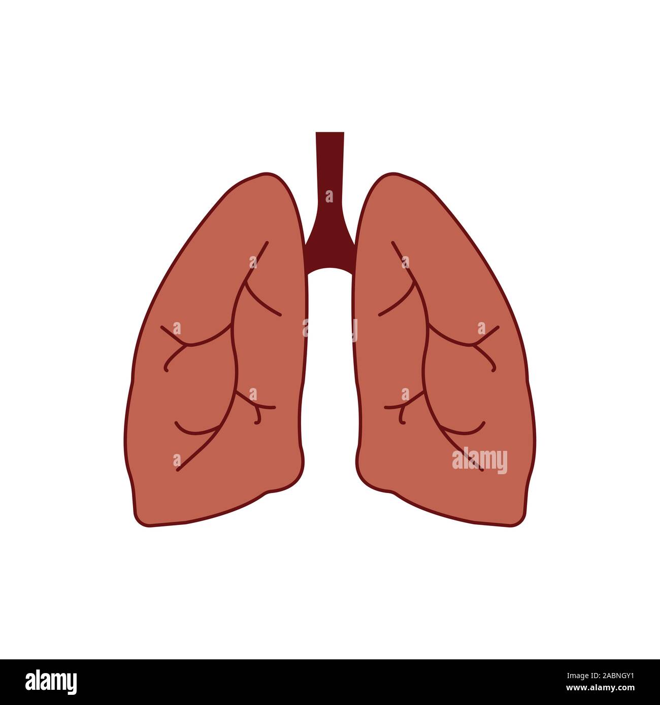 lungs vector icon, sign, symbol. color on white background Stock Vector