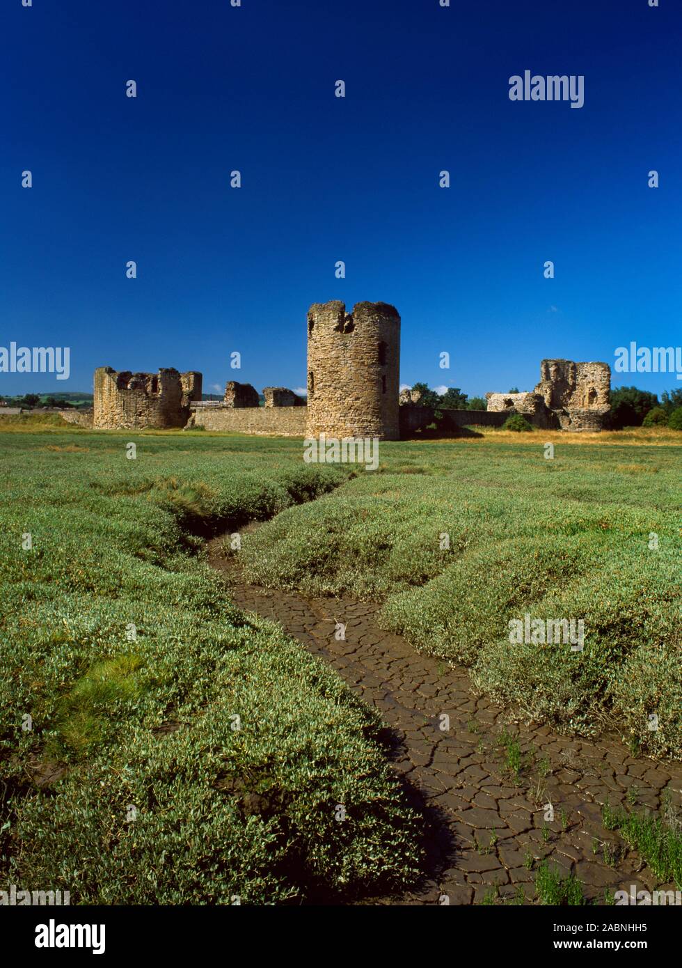 View SW of the square inner ward of Flint Castle, Wales, UK, with a round tower at each corner (NE corner tower centre front): begun 25 July 1277. Stock Photo
