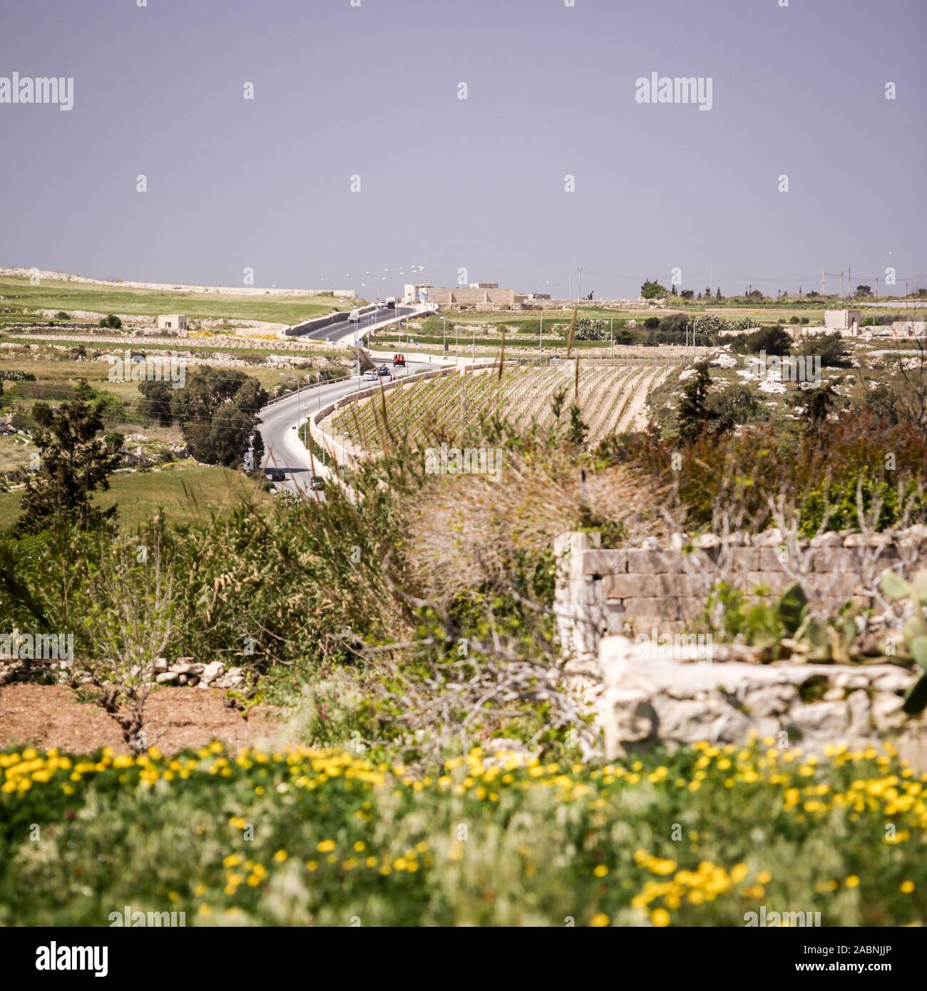 Rural Malta. A view across the rural fields of the Maltese countryside ...