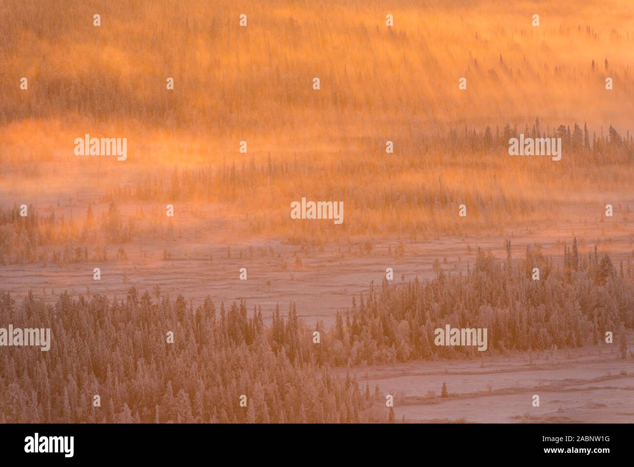 Landschaft im Gegenlicht, Schwedisch-Lappland, Skandinavien Stock Photo