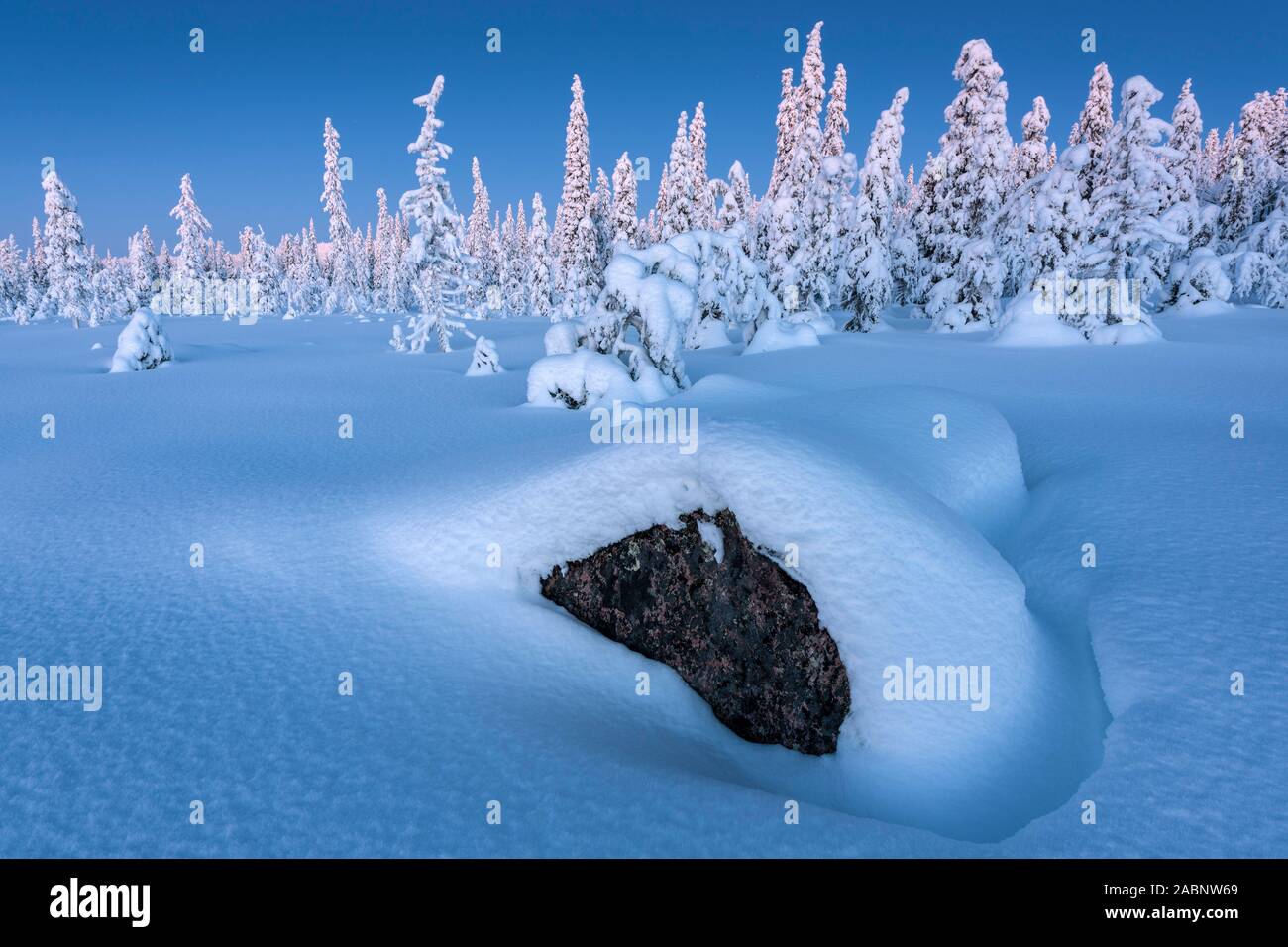 Winterlandschaft, Muddus Nationalpark, Welterbe Laponia, Norrbotten, Lappland, Schweden, Dezember 2014 Stock Photo