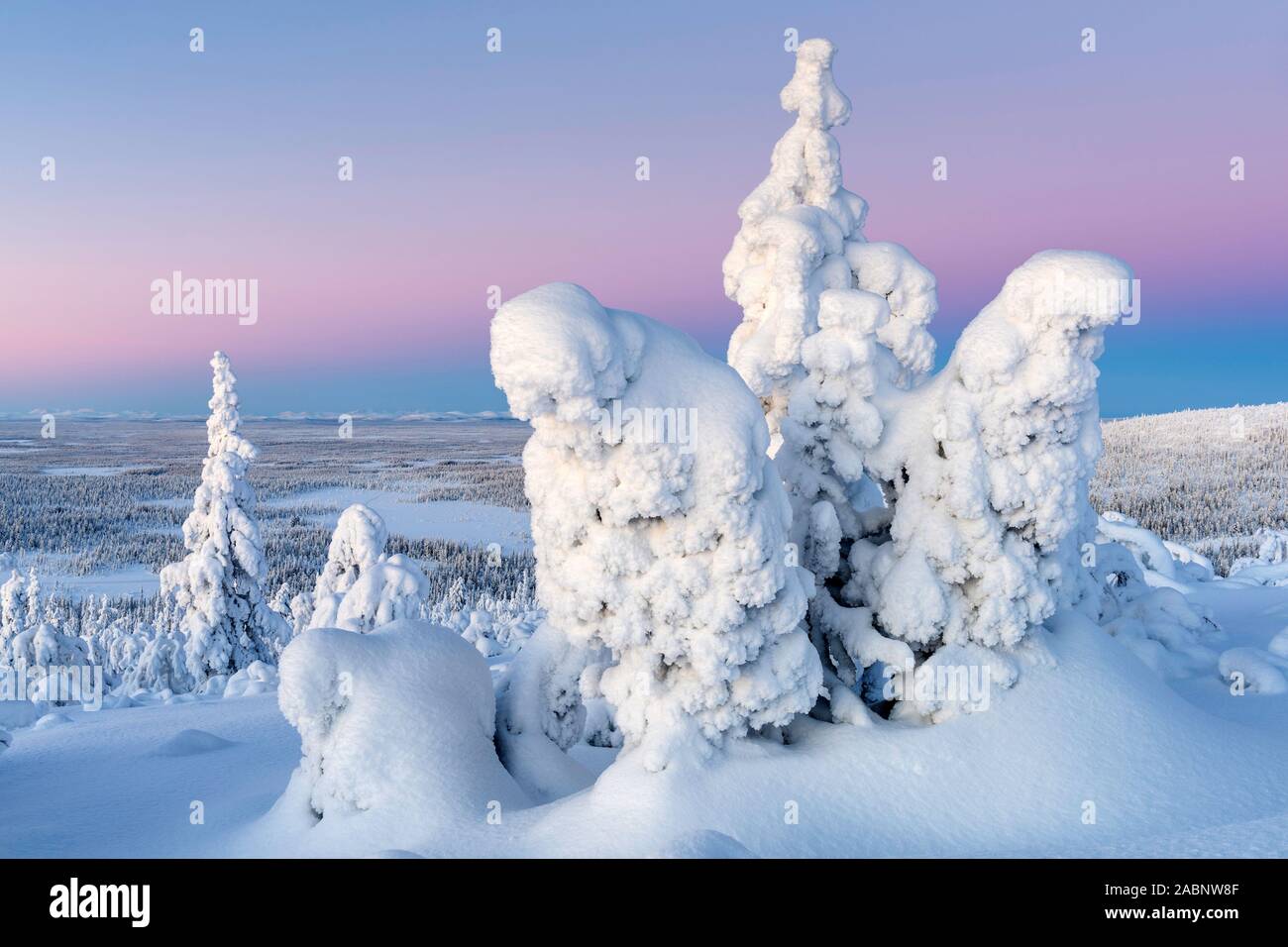 Winterlandschaft, Stubba Naturreservat, Welterbe Laponia, Norrbotten, Lappland, Schweden, Dezember 2014 Stock Photo