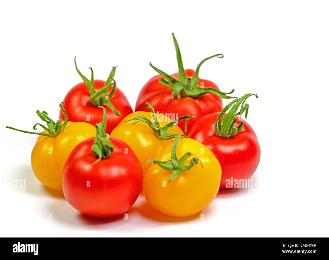 Red and yellow tomatoes in front of white background Stock Photo - Alamy
