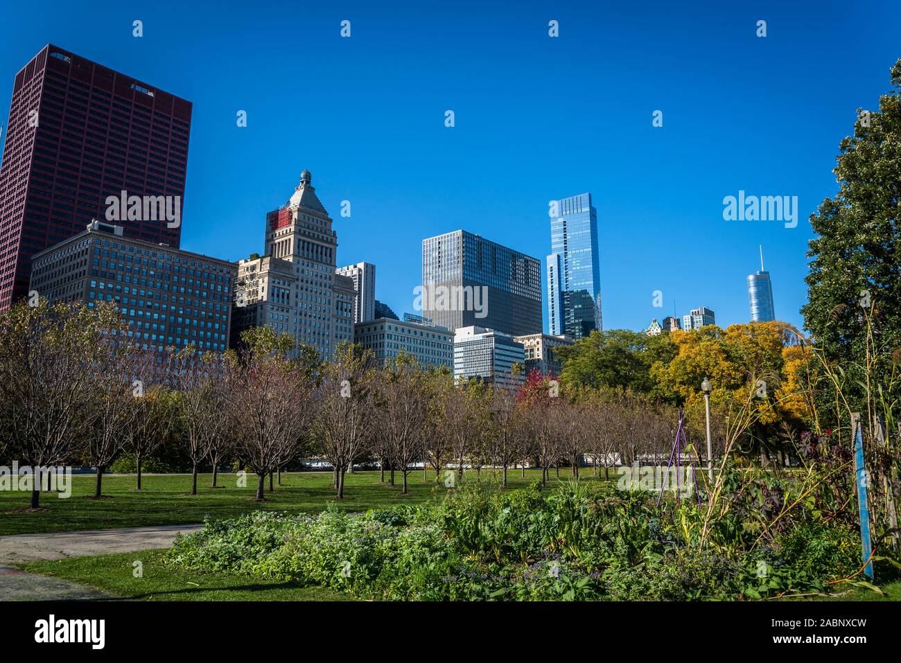 Art on the Farm Urban Agriculture Potager Kitchen garden, Grant Park ...