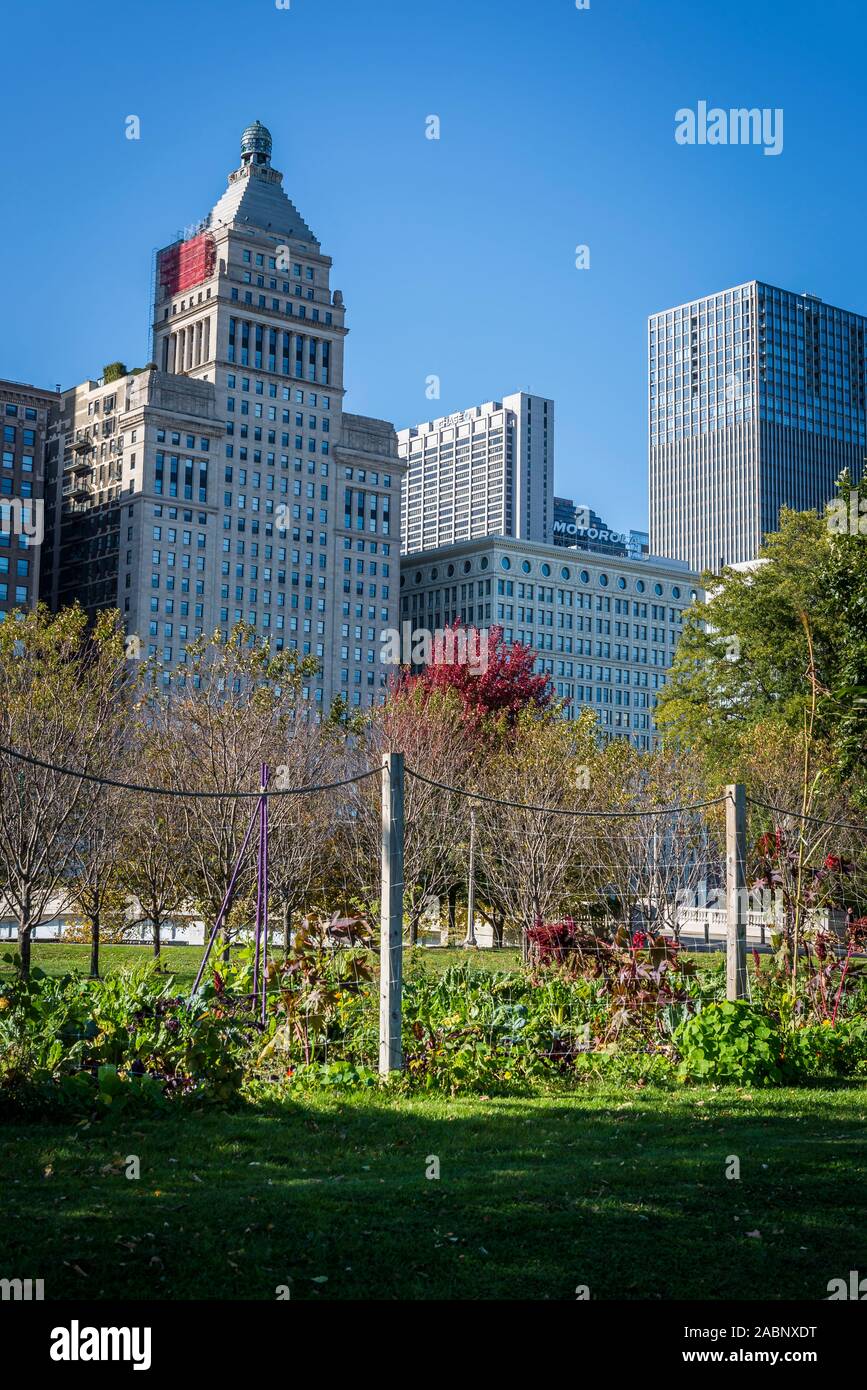 Art on the Farm Urban Agriculture Potager Kitchen garden, Grant Park ...