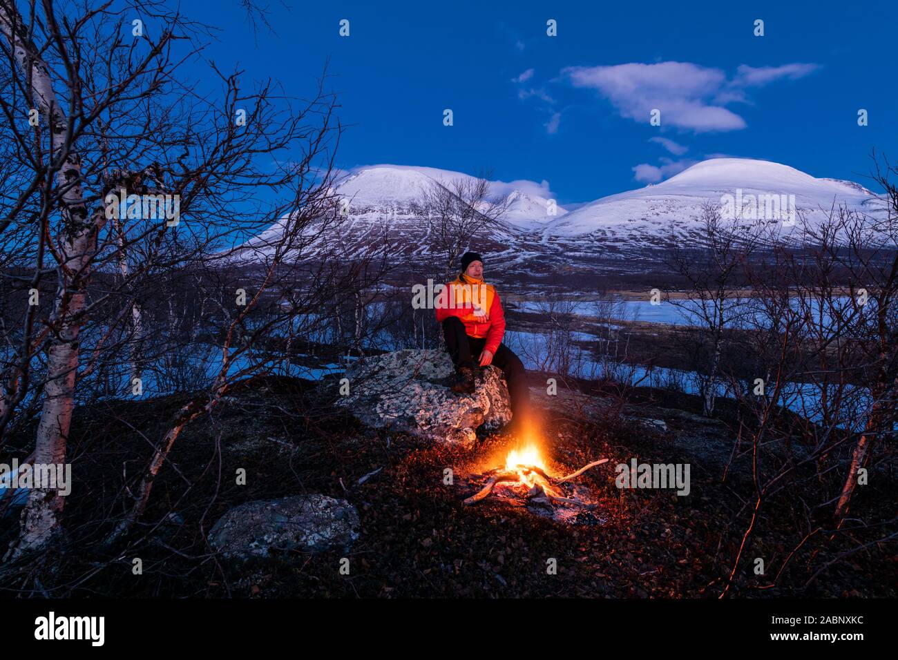 mondbeschienene Winterlandschaft, Muddsus Nationalaprk, Welterbe Laponia, Lappland, Schweden, November 2017 Stock Photo