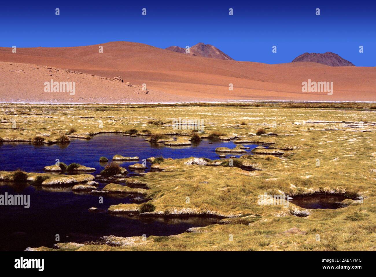 Chile - Atacama - Suedamerika Stock Photo