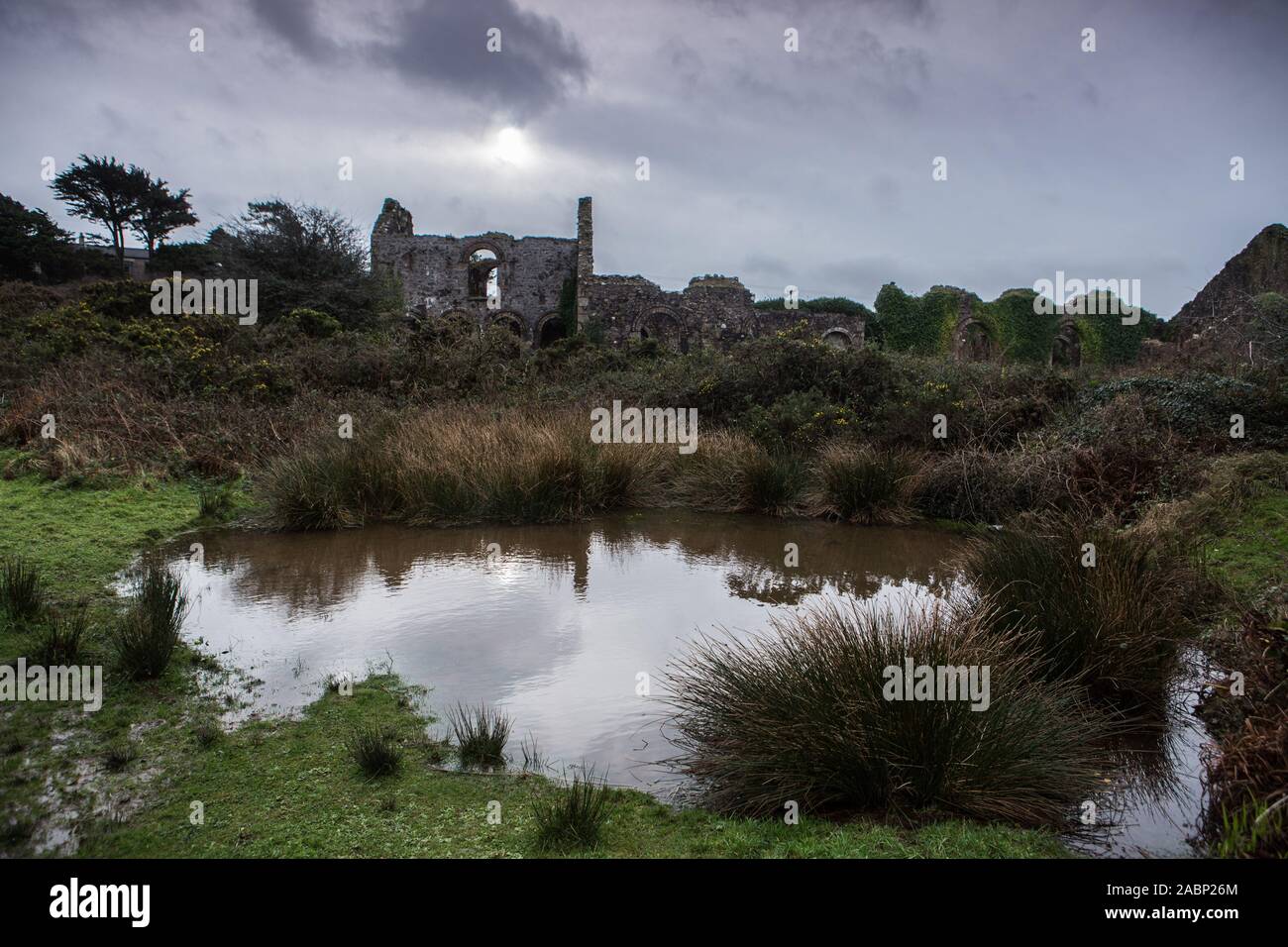 South Wheal Francis abandoned tin mine working and buildings Cornwall Stock Photo