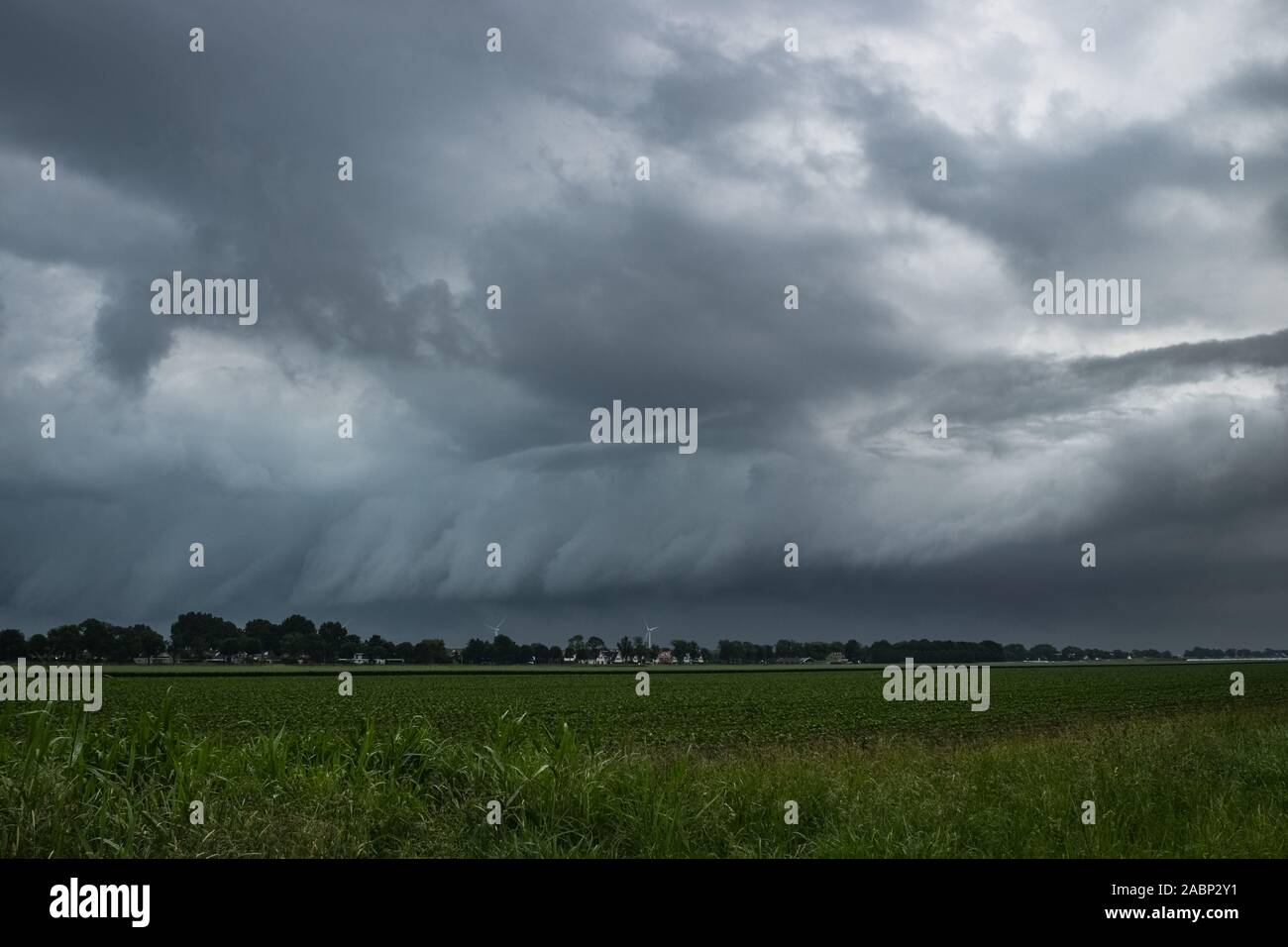 Shelfcloud of a severe thunderstorm over the wide open countryside of The Netherlands, Europe. Severe weather is to be expected from this storm. Stock Photo