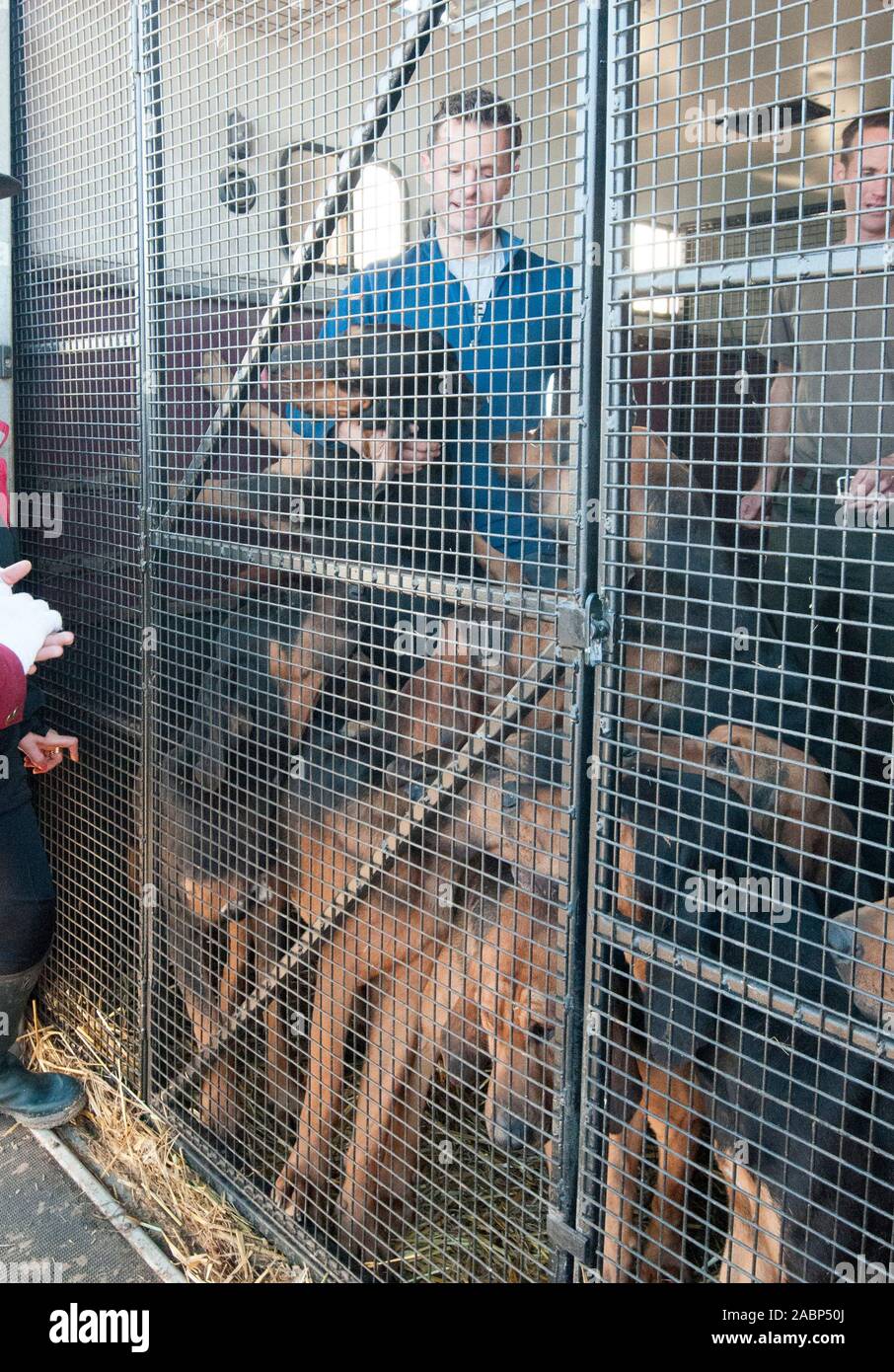 Clean boot hunt hires stock photography and images Alamy