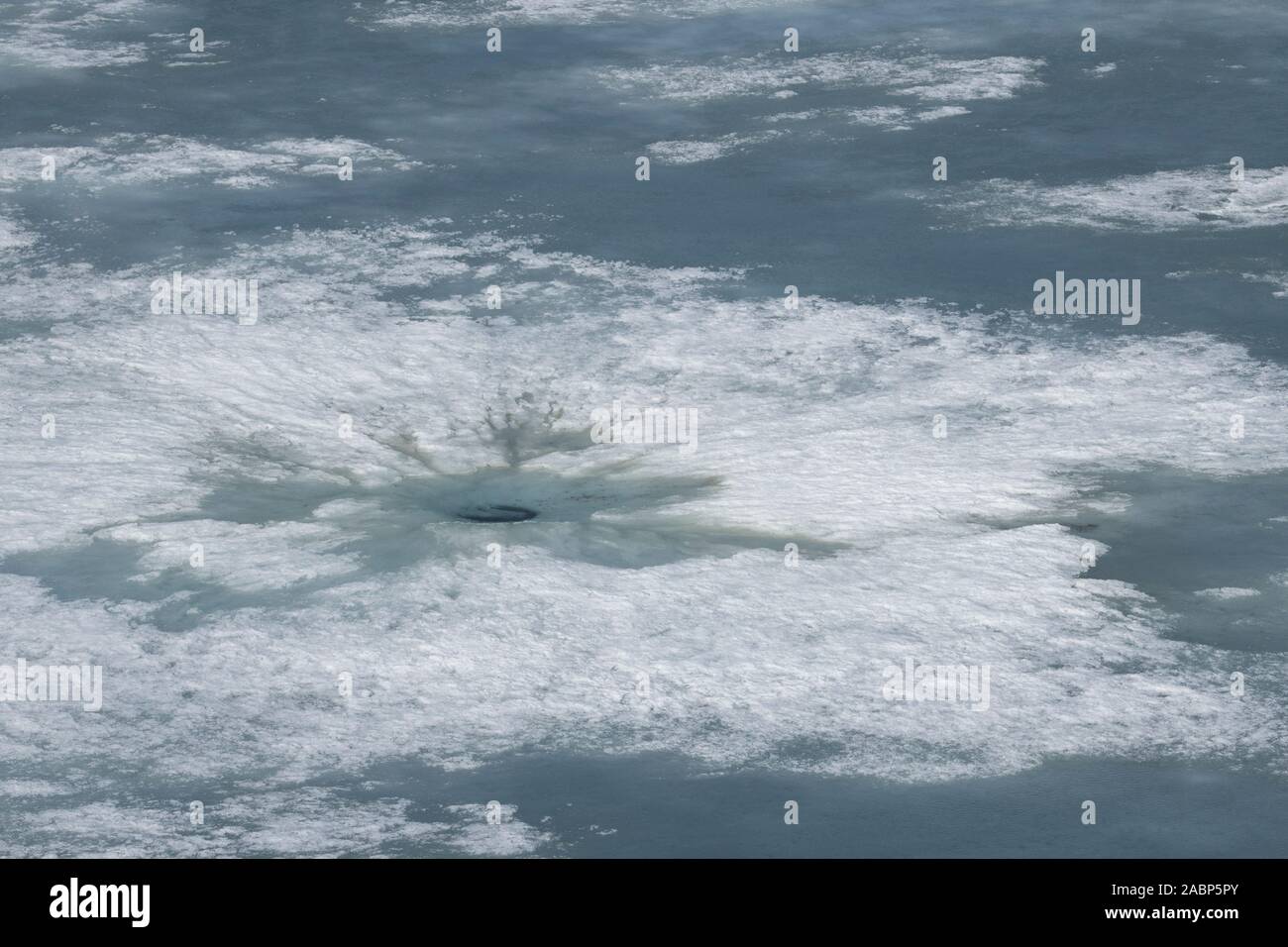 Seal at breathing hole in ice hi-res stock photography and images - Alamy