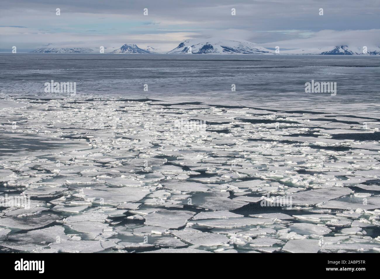 Russia, High Arctic, Franz Josef Land, Russian Arctic National Park