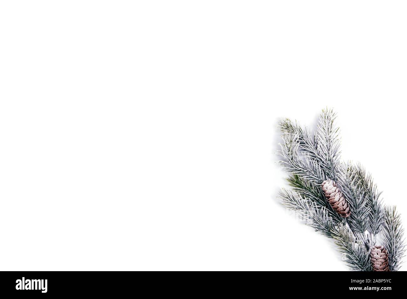 Fir branch with pine cones isolated on white background Stock Photo - Alamy