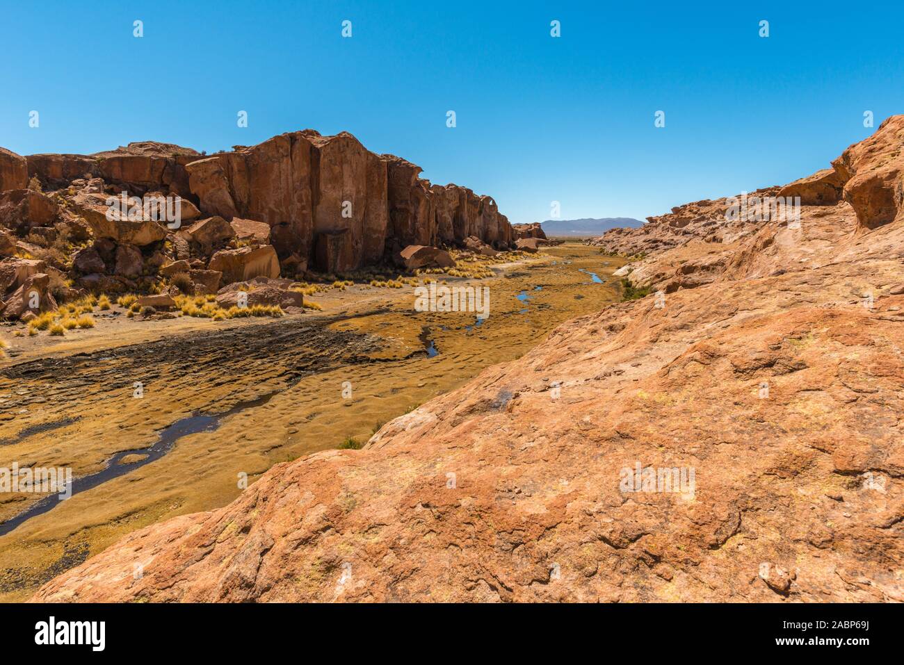 Valle de Rocas,  Laguna Negra, Southern Altiplano, Bolivia, Latin America Stock Photo