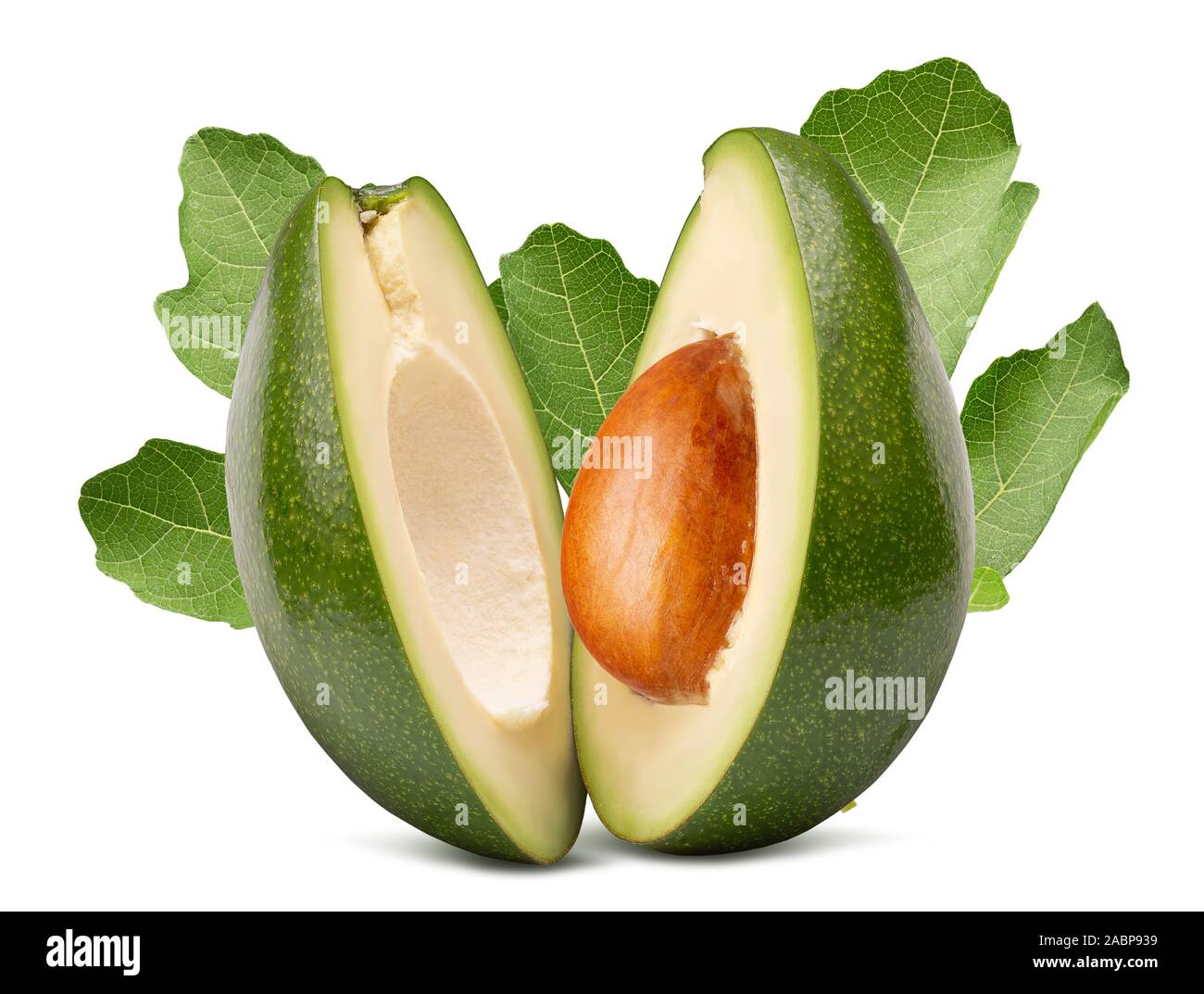 avocado with leaves isolated on a white background. Stock Photo